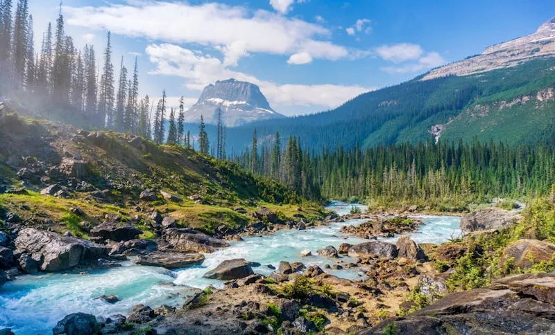 Mountain peaks and pine forest in the Gallatin Range near Bozeman, Montana